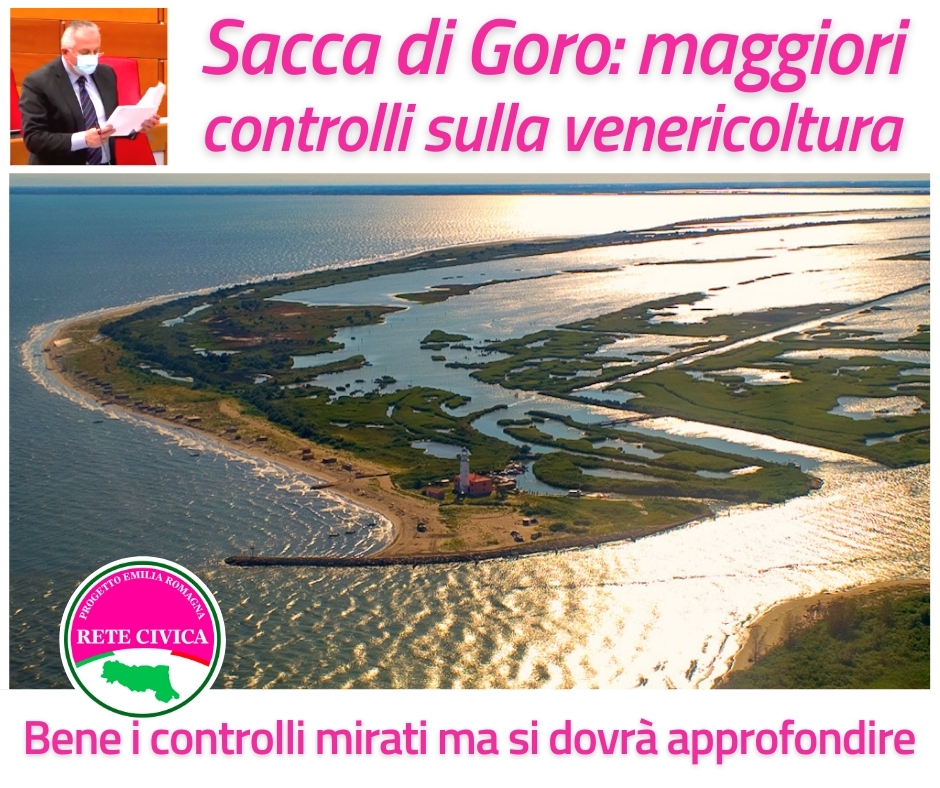 Al momento stai visualizzando Goro e le concessioni per le vongole veraci