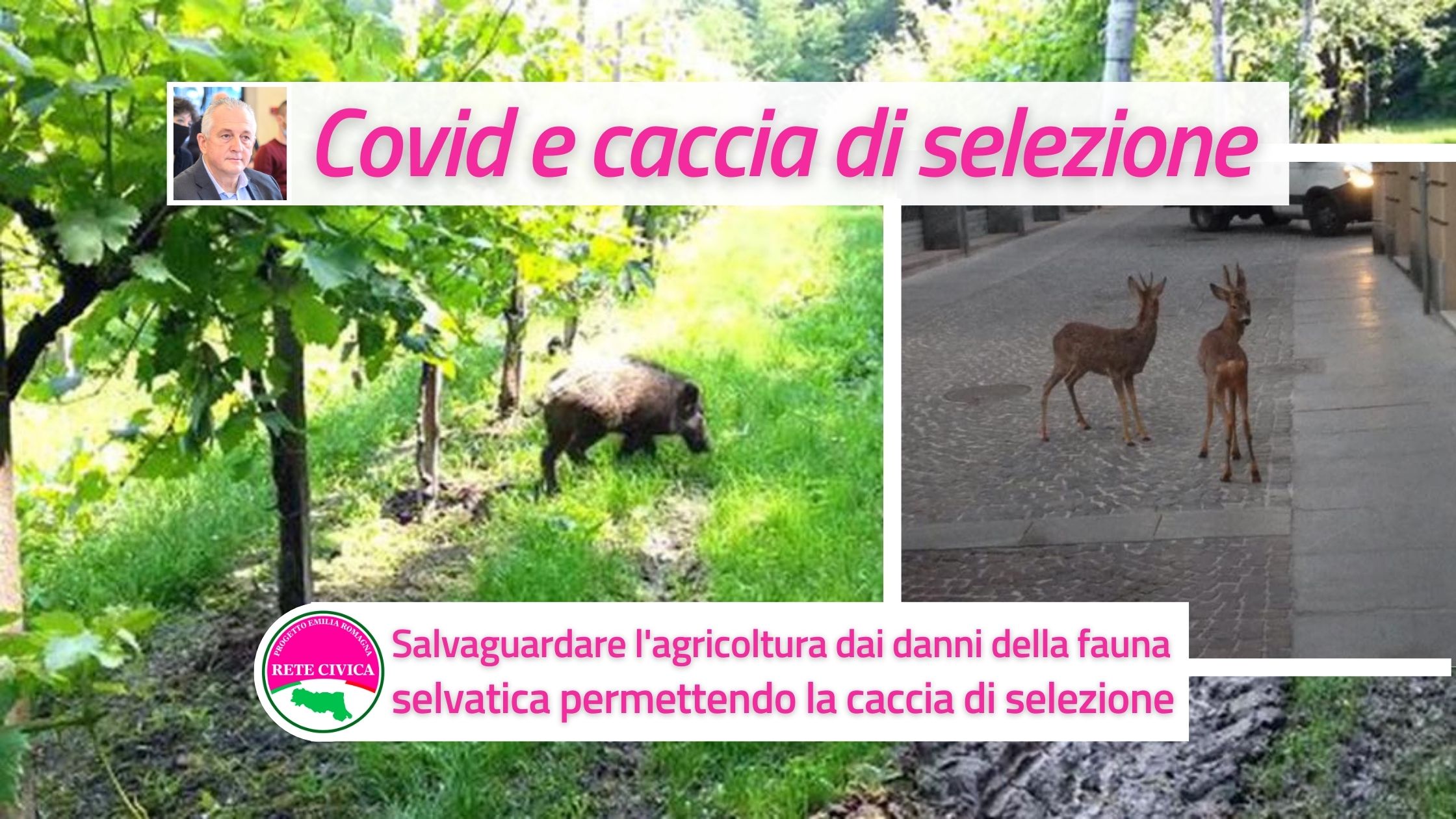 Scopri di più sull'articolo Caccia di selezione: servizio pubblico e tutela all’agricoltura