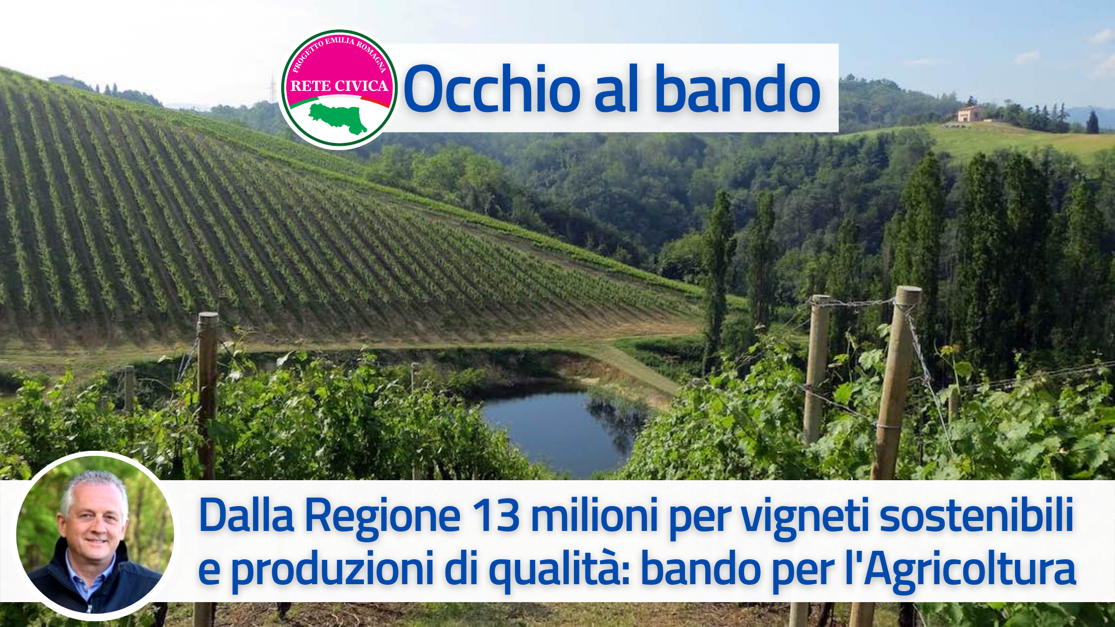 Al momento stai visualizzando Dalla Regione 13 milioni per vigneti sostenibili e produzioni di qualità: scade il 31 maggio