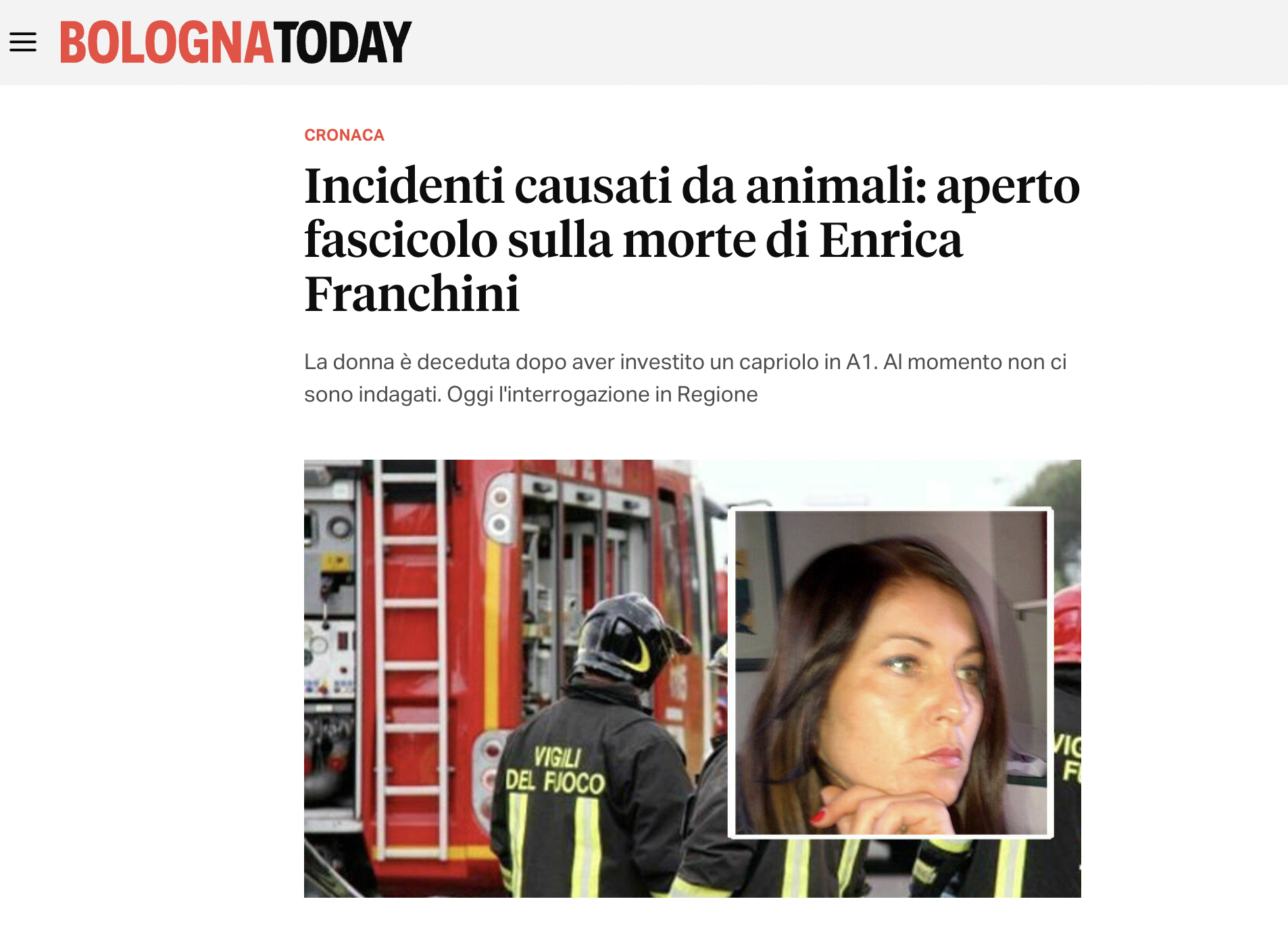 Scopri di più sull'articolo Resta dubbioso Mastacchi. “C’è un grande aumento del numero di animali e di migrazioni verso la città, quindi qualcosa non sta funzionando”