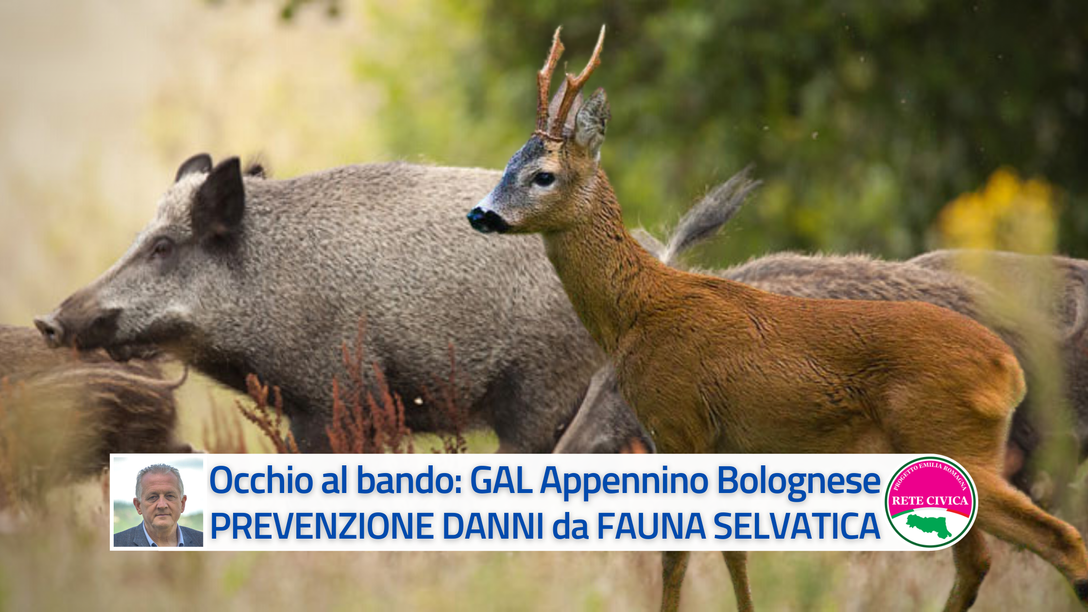 Al momento stai visualizzando BANDO prevenzione danni FAUNA SELVATICA – bando del G.A.L. Appennino Bolognese – scade il 20 dicembre 2021