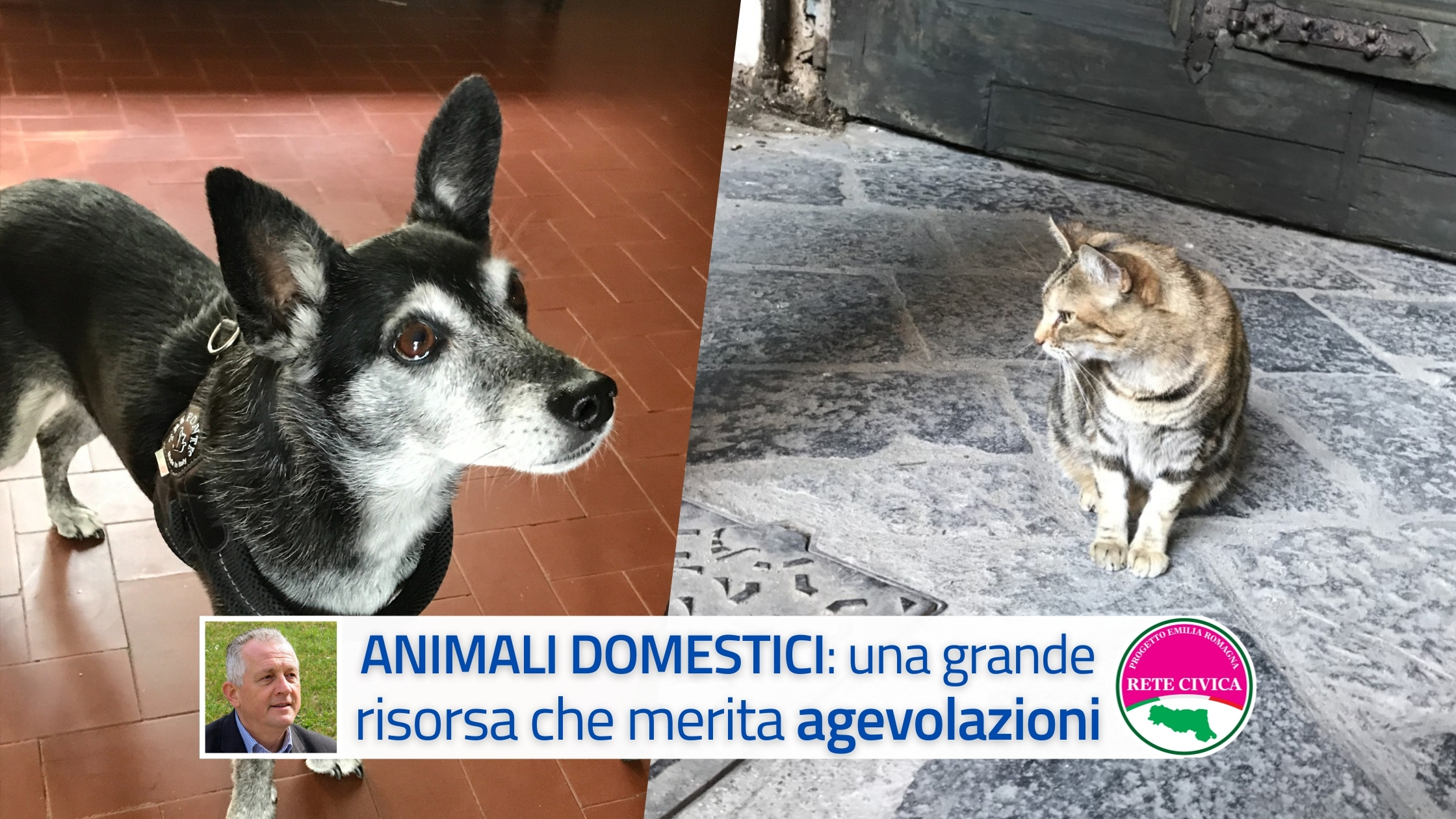 Al momento stai visualizzando Emergenze e spese veterinarie: animali domestici, una grande risorsa che merita agevolazioni