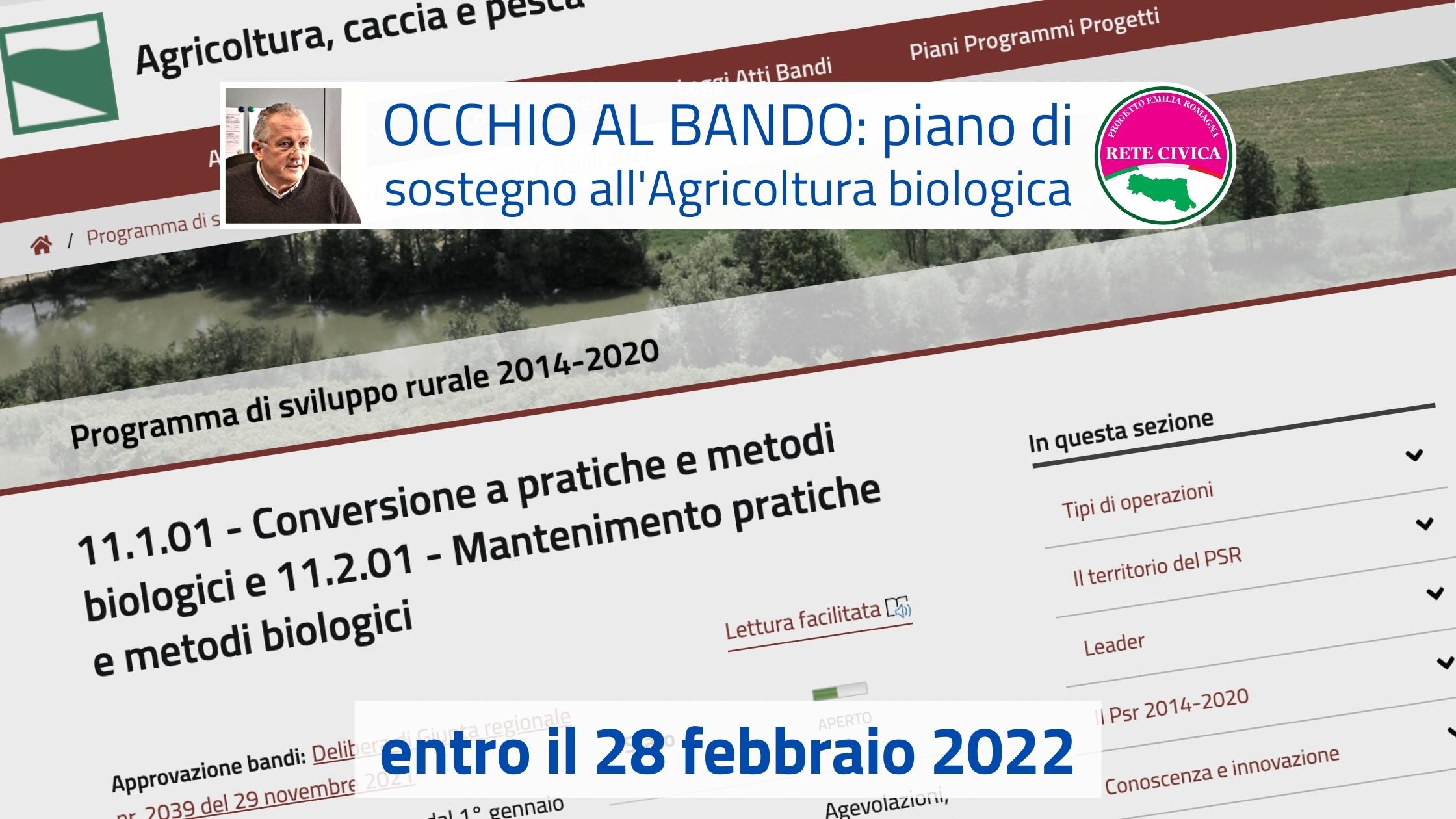 Scopri di più sull'articolo Occhio al Bando: misure di sostegno per l’Agricoltura biologica