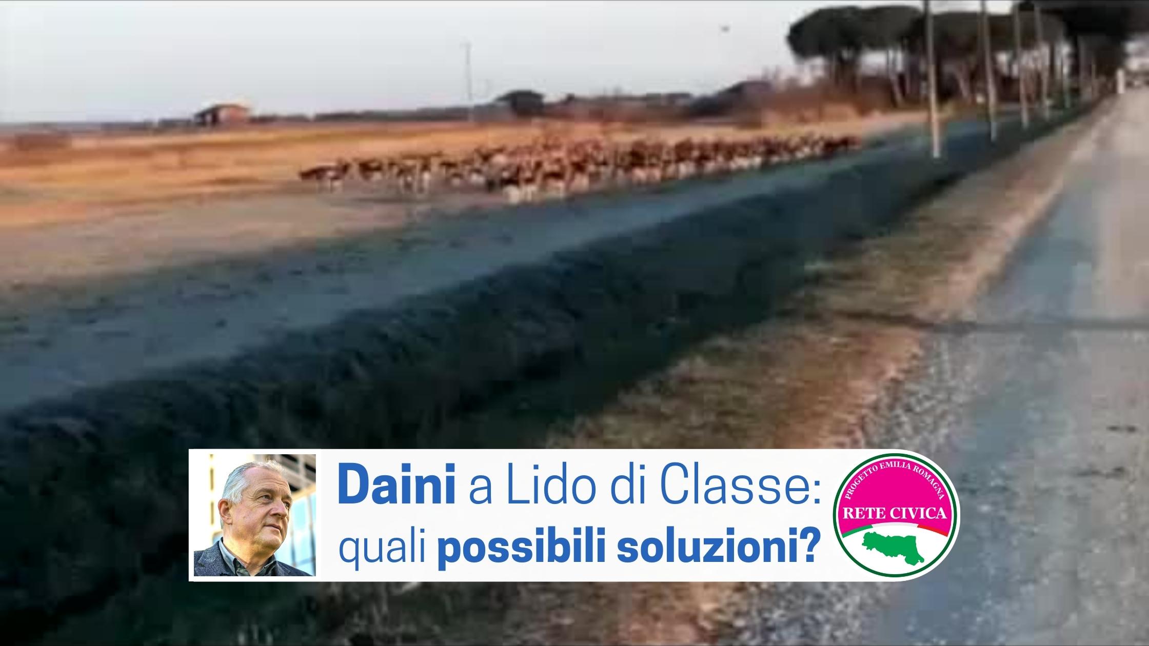 Al momento stai visualizzando DAINI A LIDO DI CLASSE: quali possibili soluzioni?