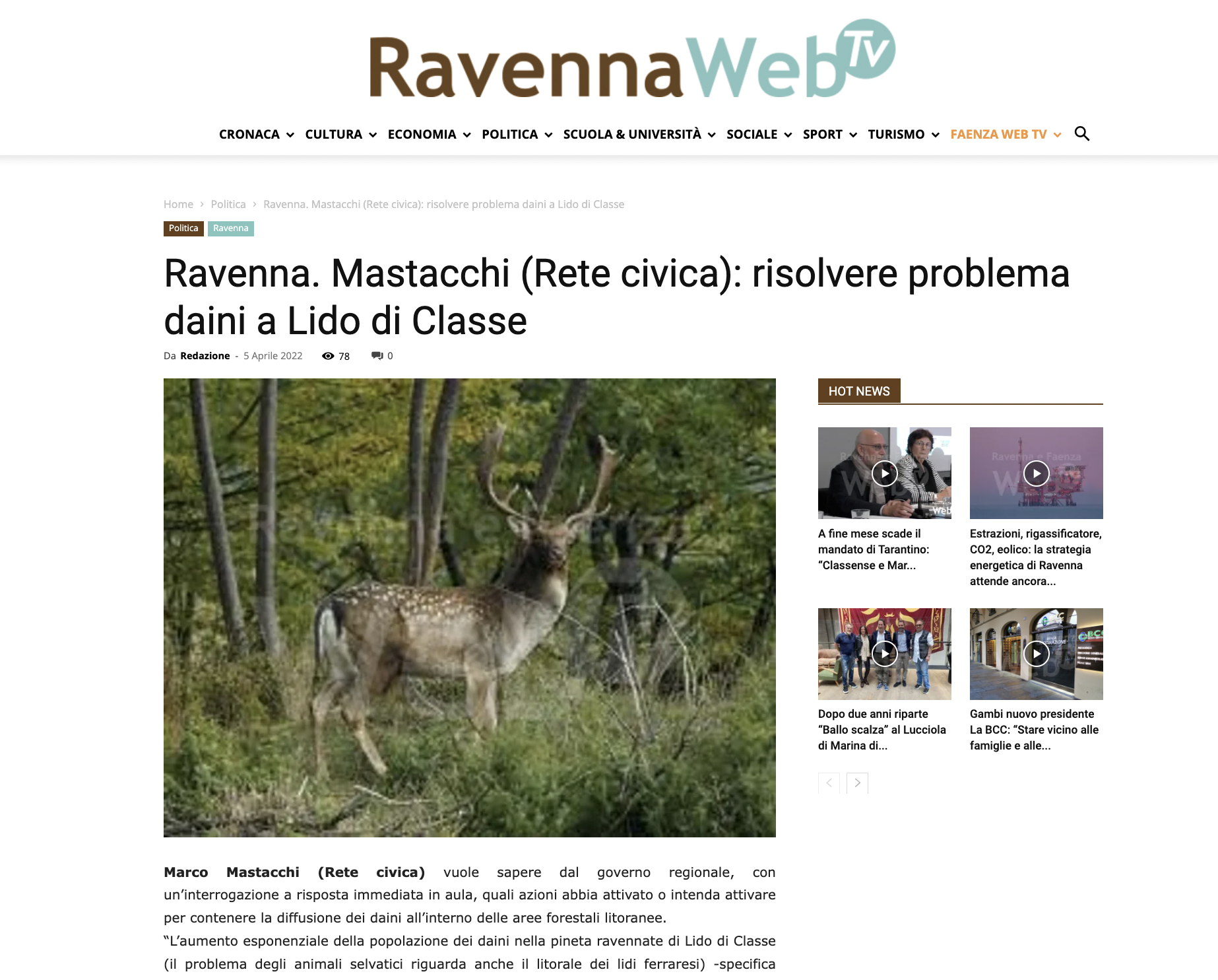 Scopri di più sull'articolo Ravenna. Mastacchi (Rete civica): risolvere problema daini a Lido di Classe