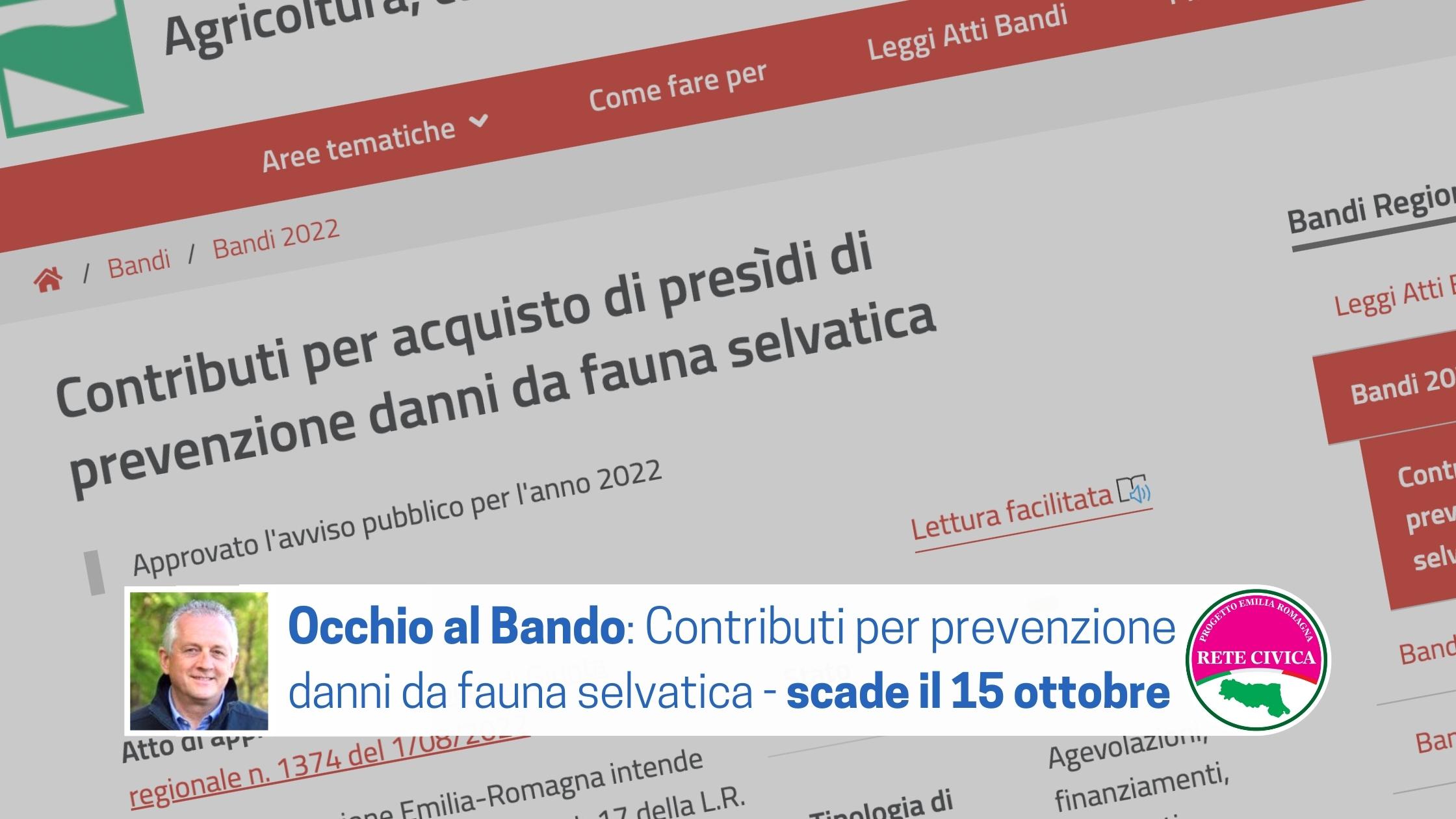 Scopri di più sull'articolo Occhio al Bando: Contributi per prevenzione danni da fauna selvatica – scade il 15 ottobre