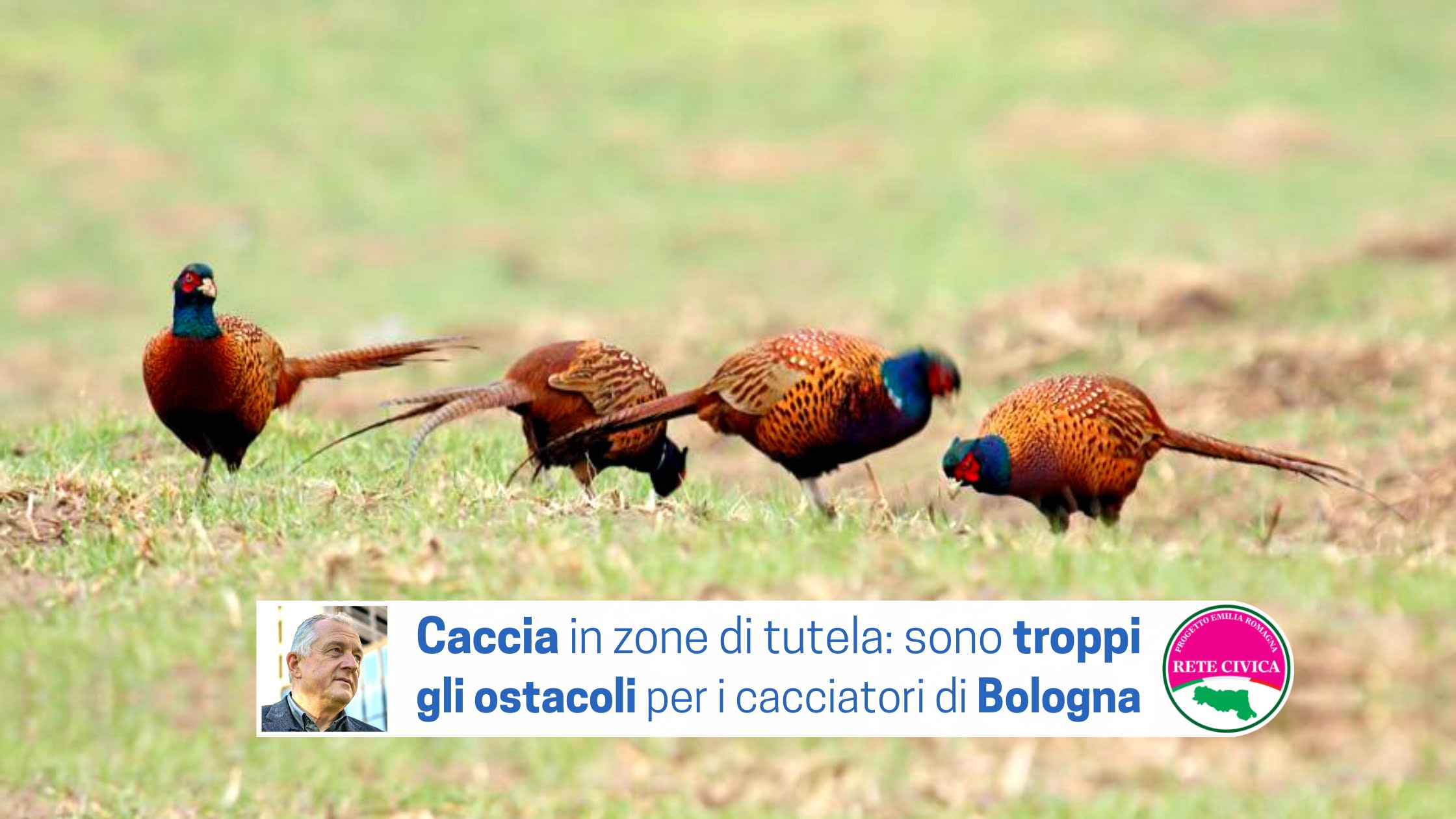 Scopri di più sull'articolo Caccia in zone di tutela: troppi ostacoli per i cacciatori di Bologna