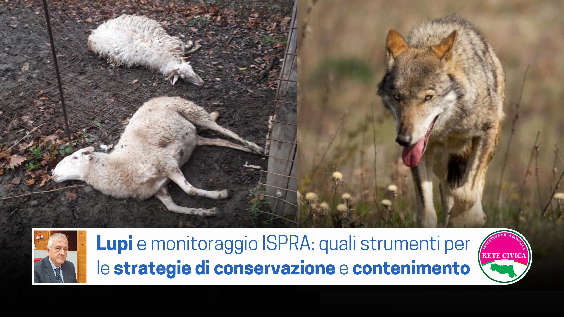 Al momento stai visualizzando LUPI e monitoraggio ISPRA: quali strumenti per le strategie di conservazione e contenimento  