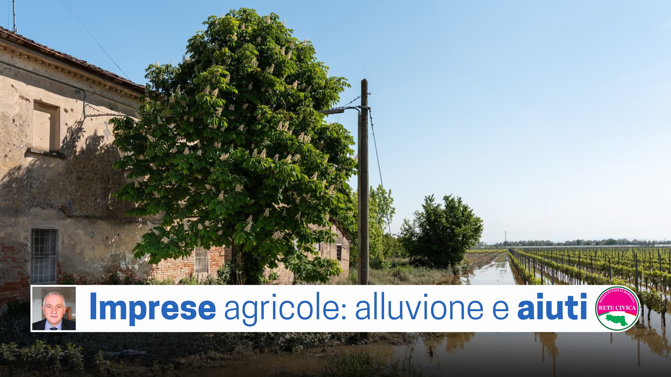 Al momento stai visualizzando IMPRESE AGRICOLE: alluvione e aiuti