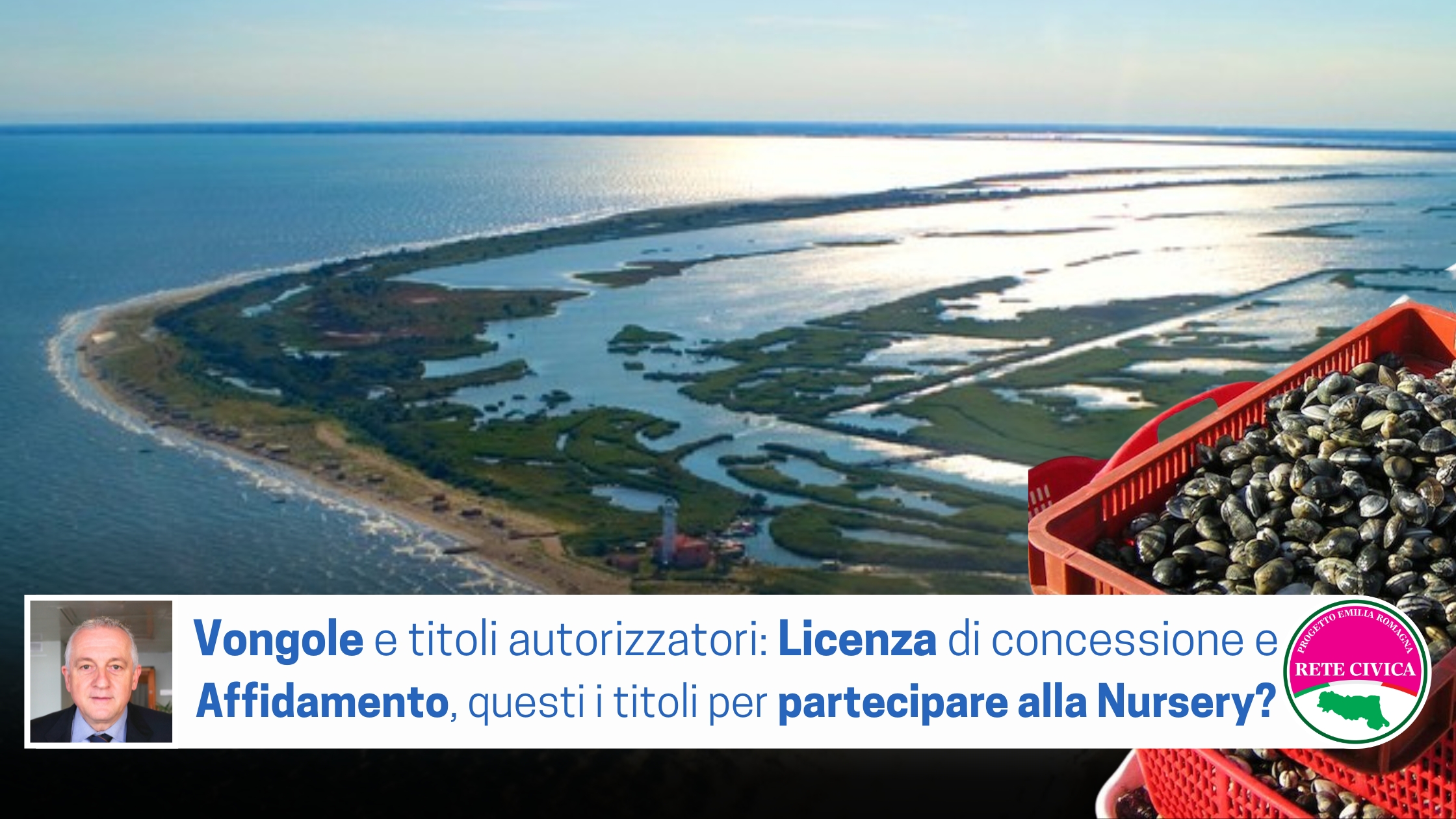 Scopri di più sull'articolo Vongole e titoli autorizzatori: Licenza di concessione e Affidamento, questi i titoli per partecipare alla Nursery?