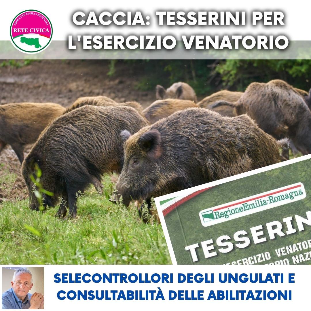 Scopri di più sull'articolo TESSERINI per la CACCIA: selecontrollori degli ungulati e consultabilità delle abilitazioni detenute