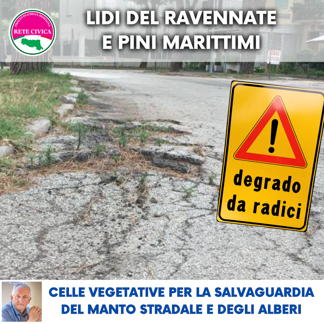 Scopri di più sull'articolo Lidi del ravennate e pini marittimi: celle vegetative per la salvaguardia degli alberi e del manto stradale