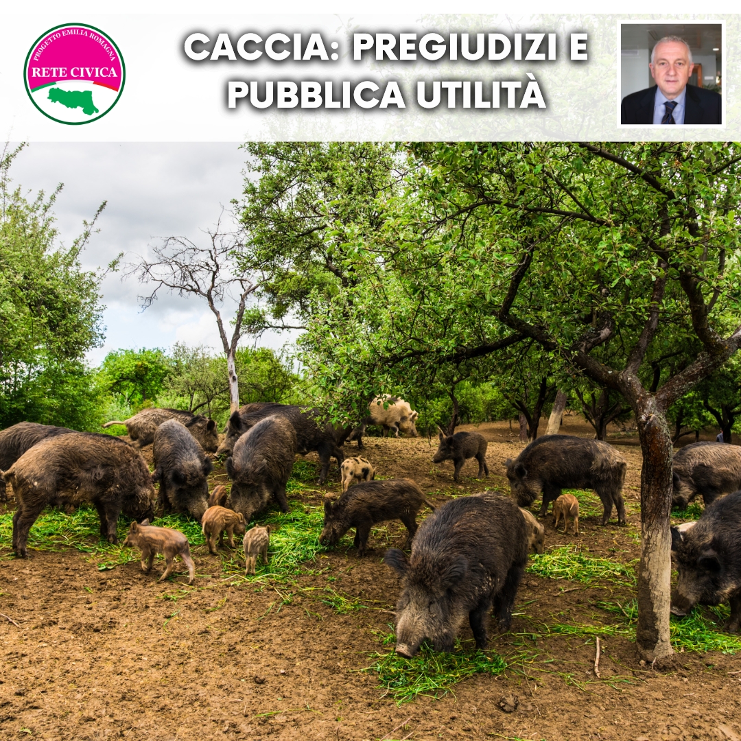 Al momento stai visualizzando Caccia: pregiudizi e pubblica utilità
