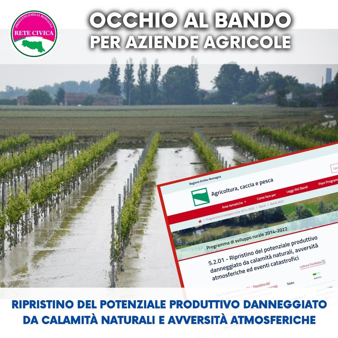 Scopri di più sull'articolo (Scade il 15 gennaio 2024) – Ripristino del potenziale produttivo danneggiato da calamità naturali,atmosferiche ed eventi catastrofici