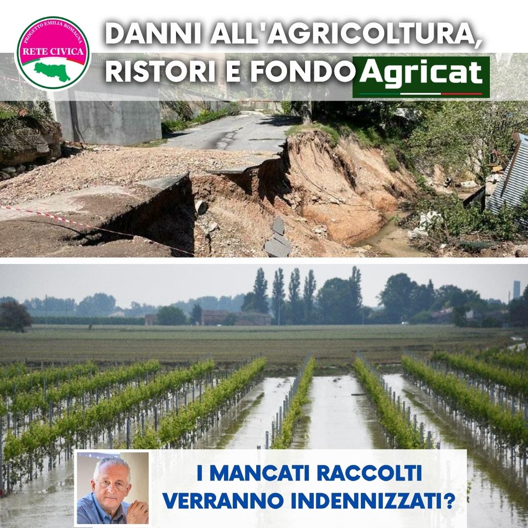 Al momento stai visualizzando Danni all’Agricoltura, ristori e “AgriCat”: I mancati raccolti verranno indennizzati? 