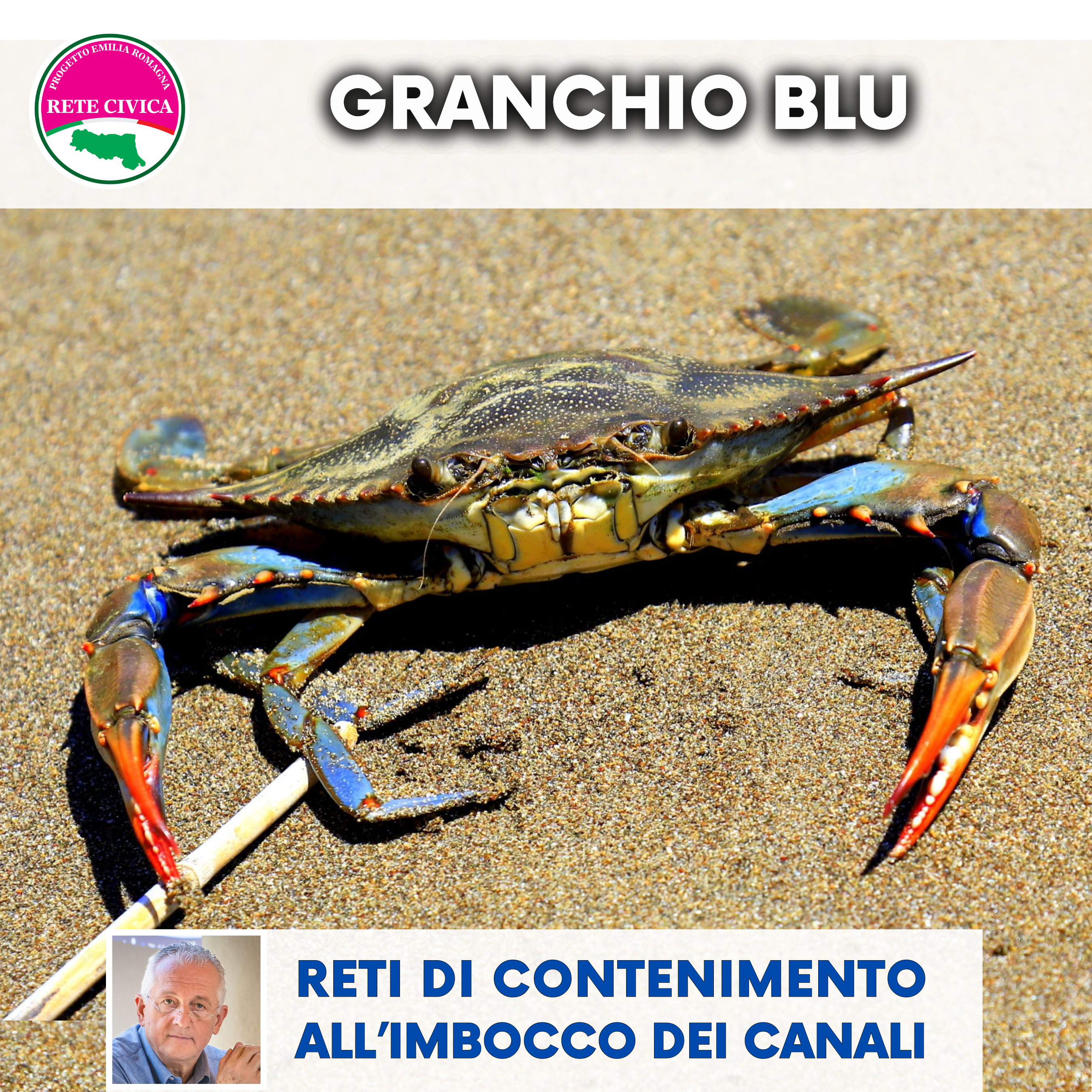 Scopri di più sull'articolo Granchio blu: reti di contenimento all’imbocco dei canali