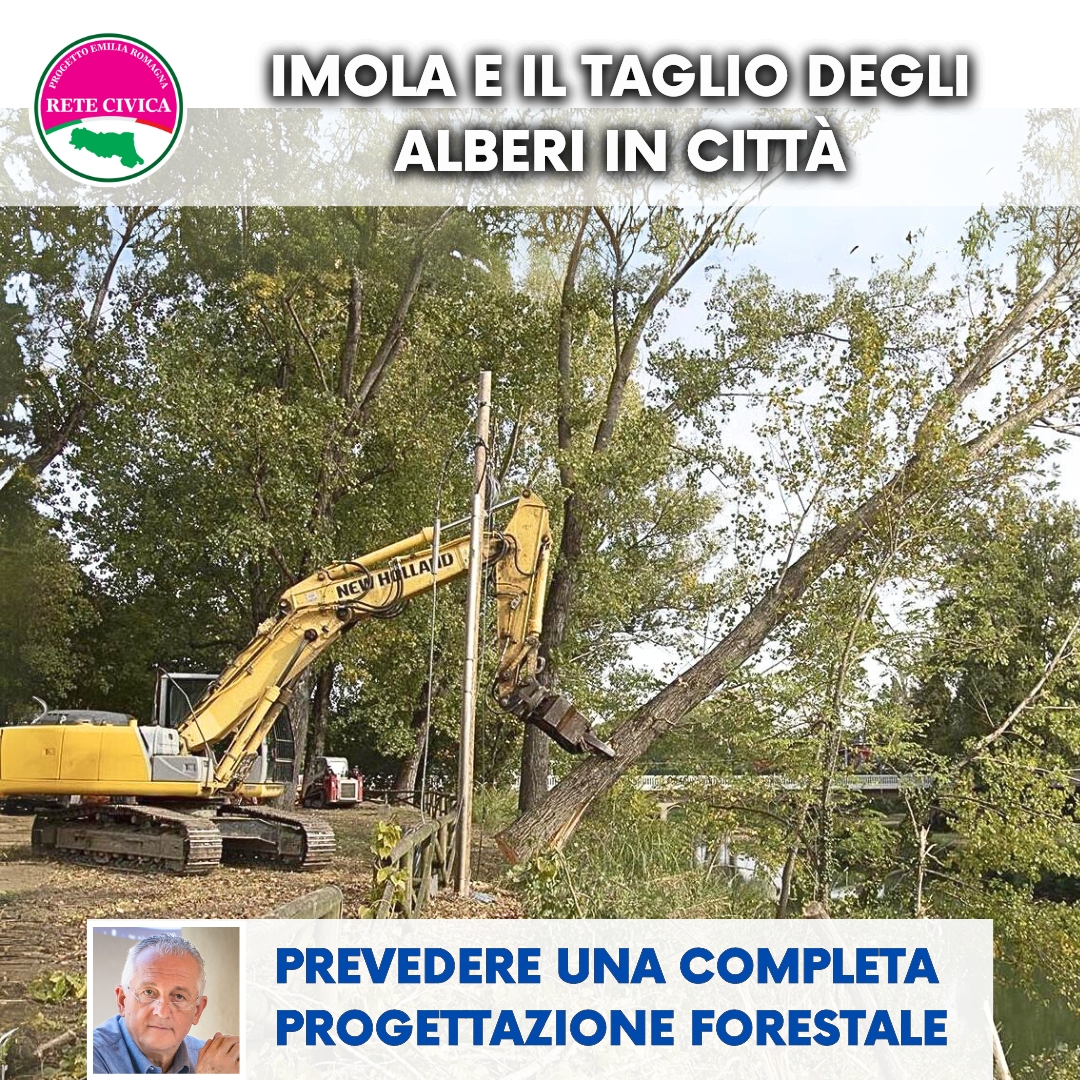 Al momento stai visualizzando Imola e il taglio degli alberi in città: prevedere una progettazione forestale completa
