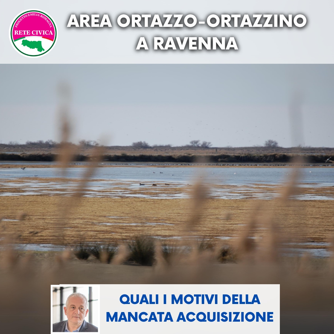 Scopri di più sull'articolo Area Ortazzo-Ortazzino a Ravenna: quali i motivi della mancata acquisizione?