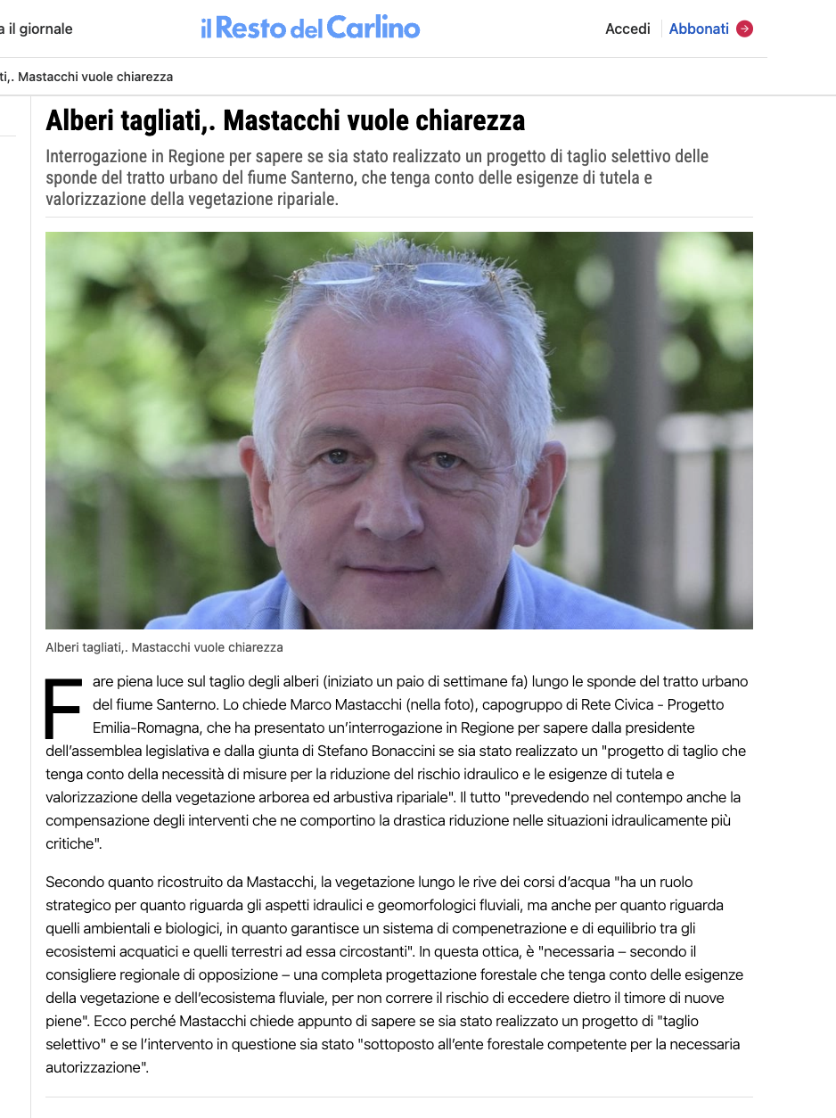 Scopri di più sull'articolo Alberi tagliati,. Mastacchi vuole chiarezza