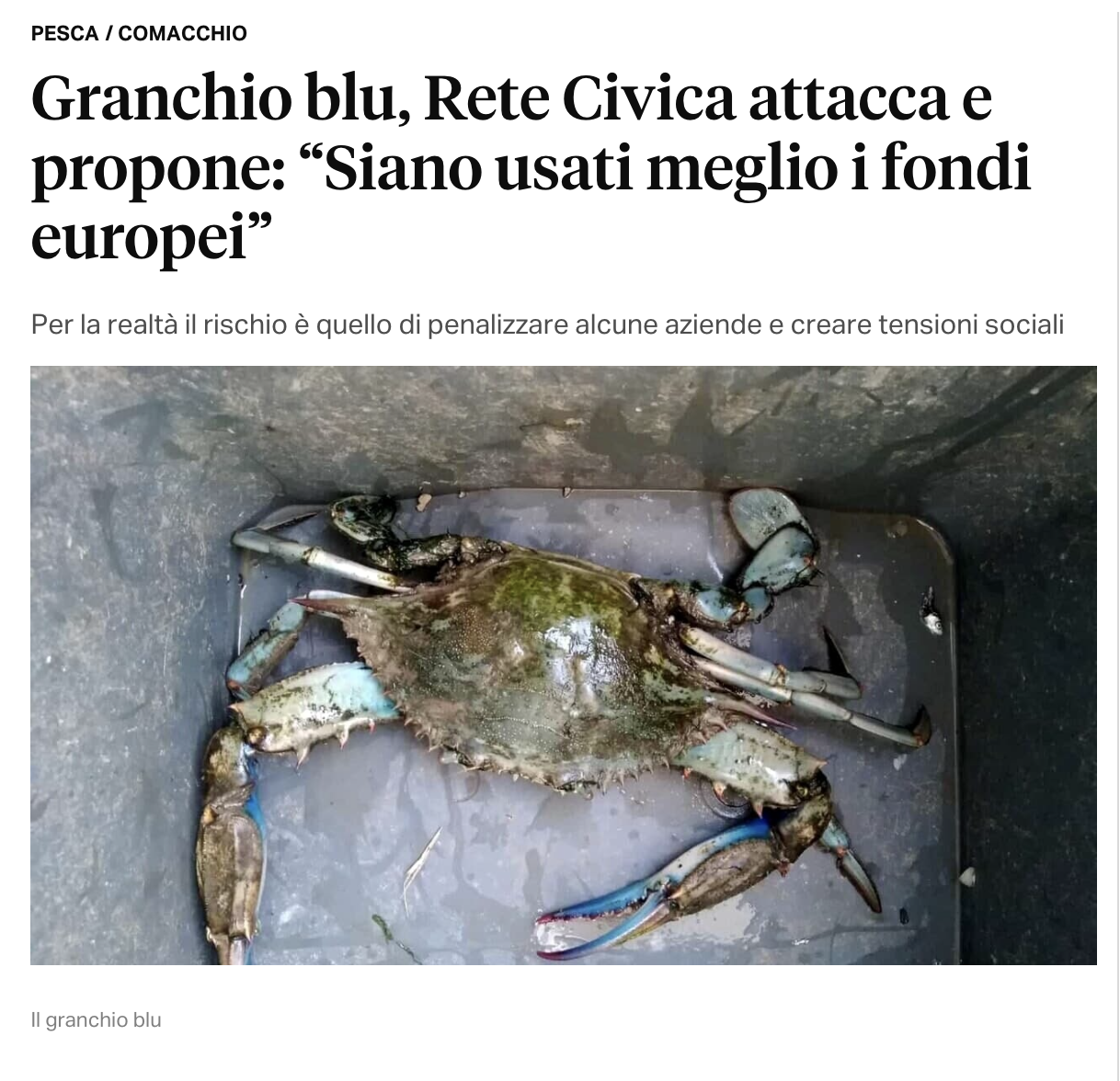 Al momento stai visualizzando Granchio blu, Rete Civica attacca e propone: “Siano usati meglio i fondi europei”