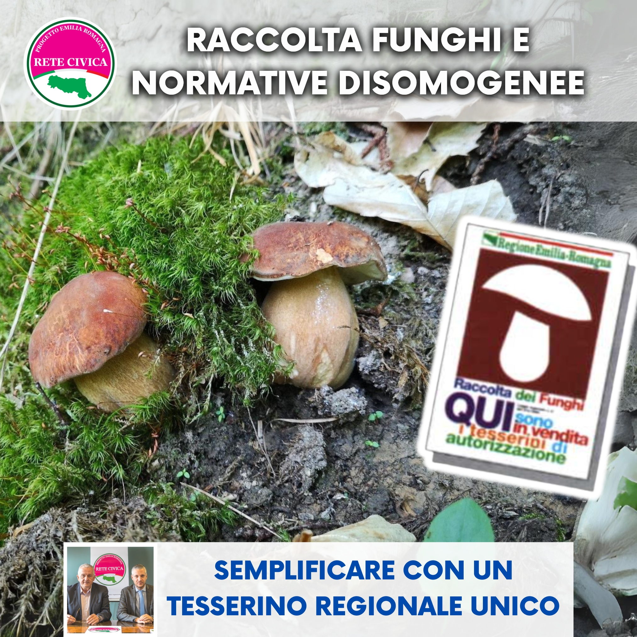 Scopri di più sull'articolo Raccolta funghi e normative disomogenee: semplificare con un tesserino regionale unico