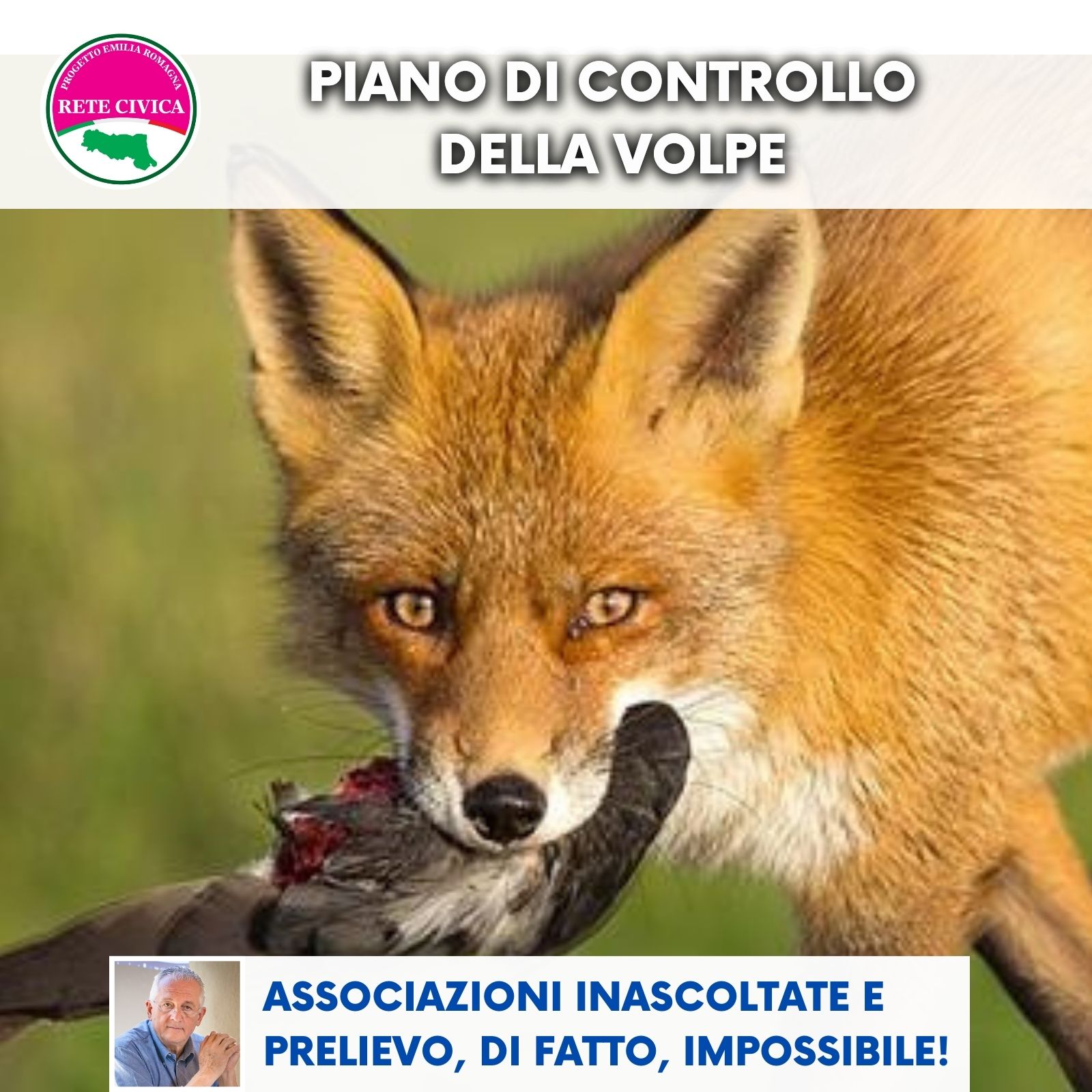 Scopri di più sull'articolo Piano di controllo della volpe: associazioni inascoltate