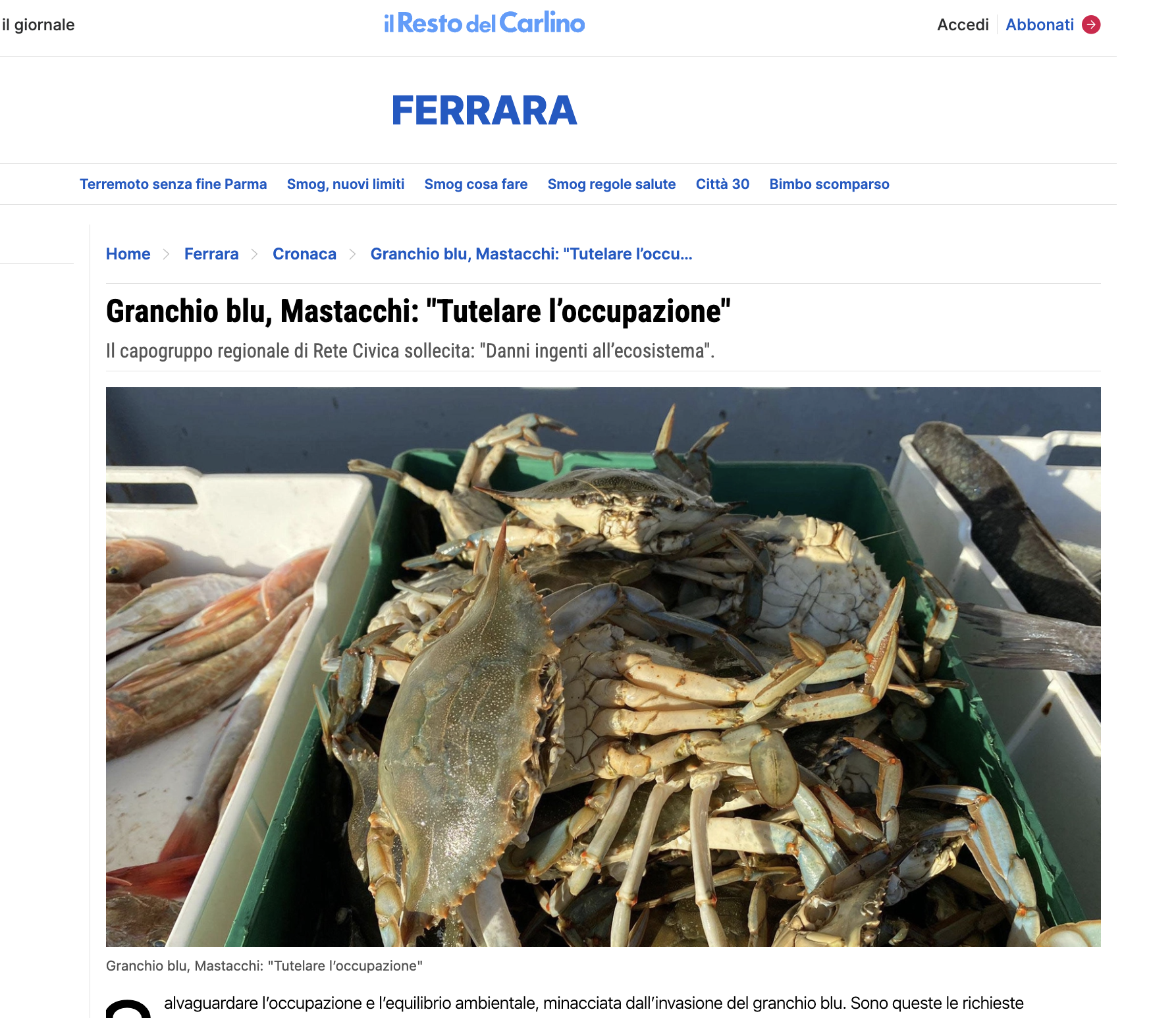 Scopri di più sull'articolo Granchio blu, Mastacchi: “Tutelare l’occupazione”