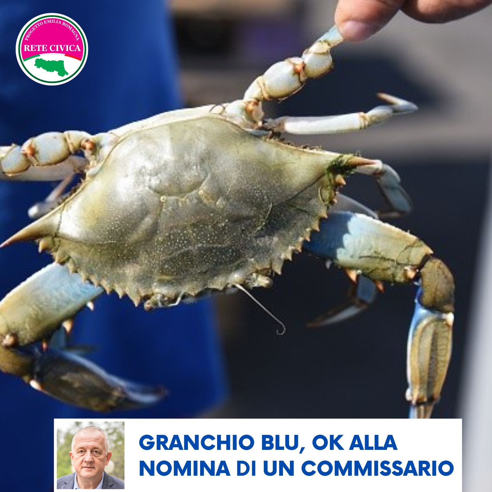 Scopri di più sull'articolo COMMISSARIO EMERGENZA GRANCHIO BLU: “La regione fa propria la nostra richiesta”