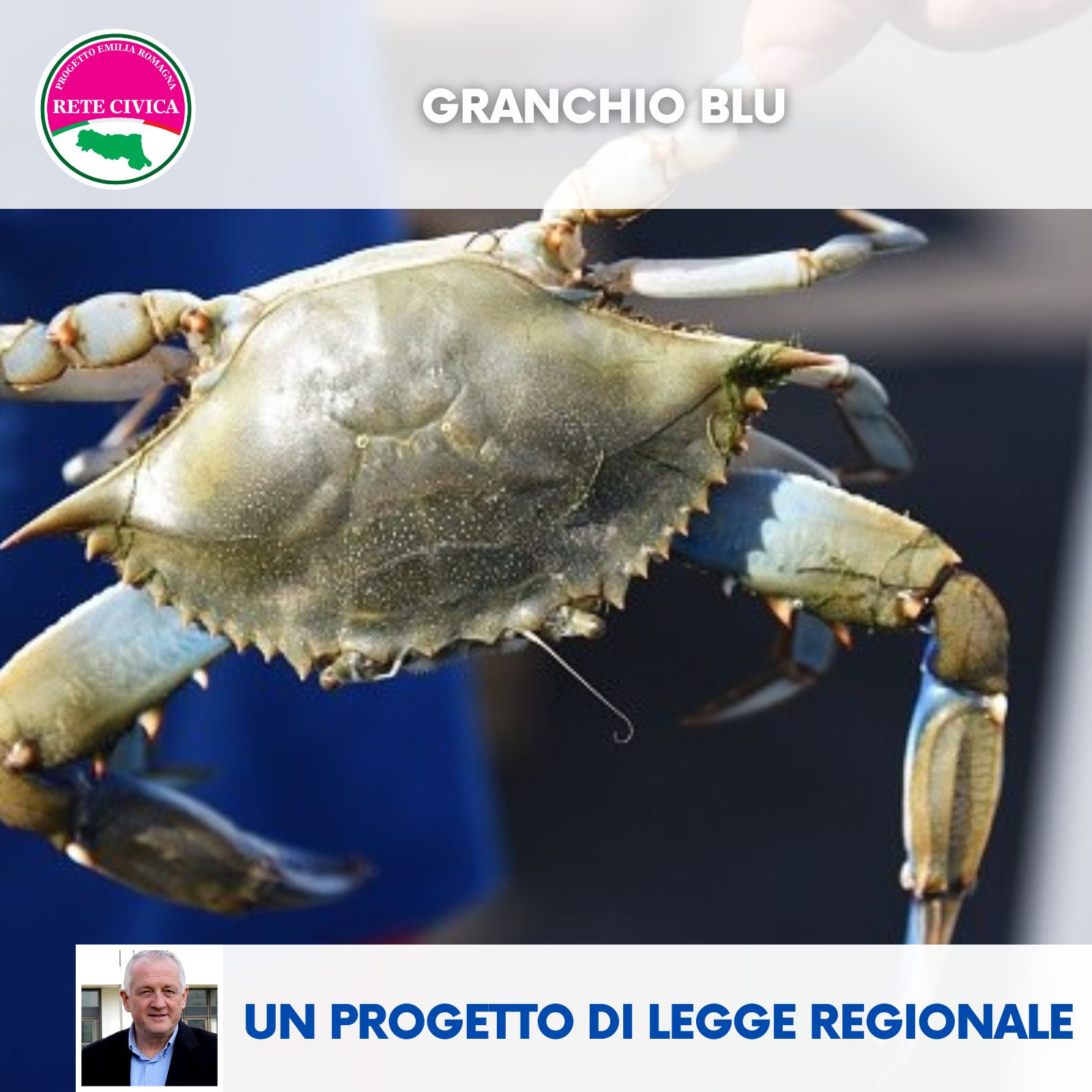 Scopri di più sull'articolo GRANCHIO BLU – Progetto di Legge regionale su interventi urgenti a favore di settori specifici