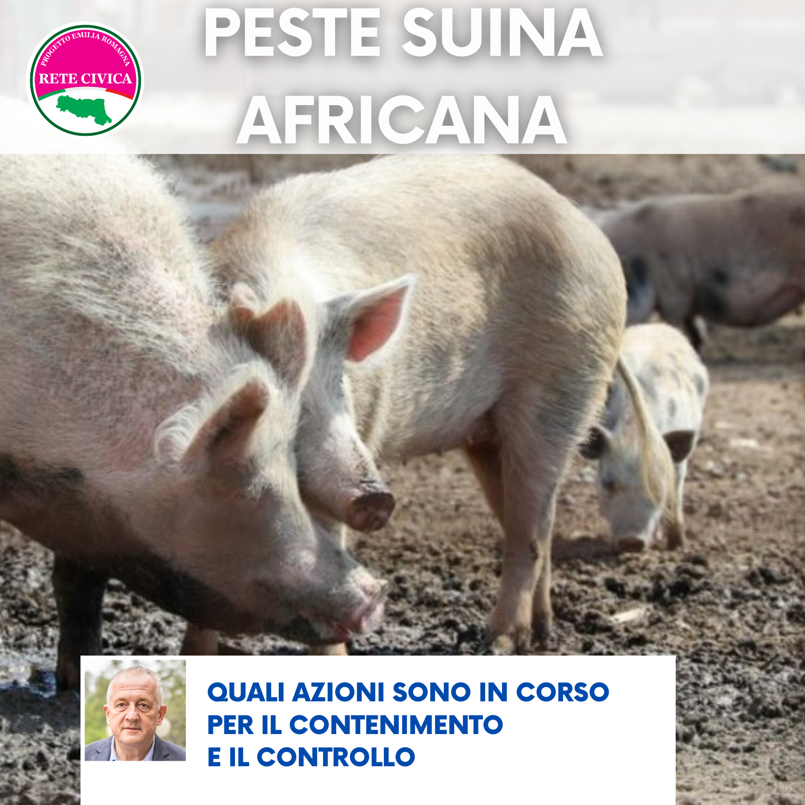 Al momento stai visualizzando PESTE SUINA AFRICANA – Quali azioni sono in corso per il contenimento e il controllo