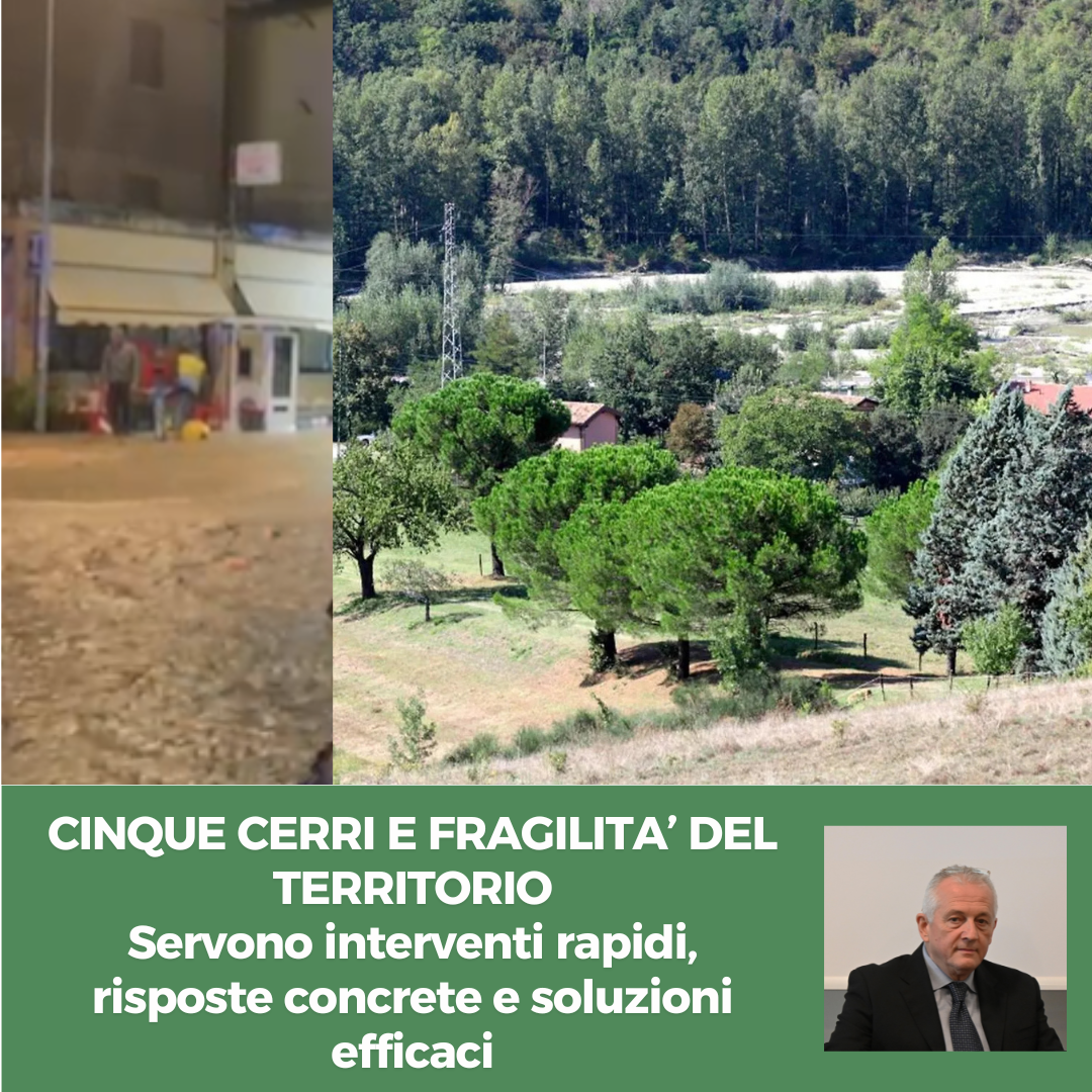 Scopri di più sull'articolo CINQUE CERRI E FRAGILITA’ DEL TERRITORIO – Servono interventi rapidi, risposte concrete e soluzioni efficaci