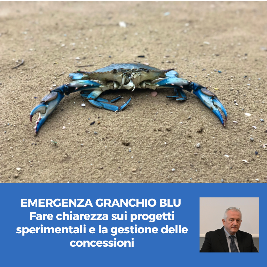 Al momento stai visualizzando EMERGENZA GRANCHIO BLU – Fare chiarezza sui progetti sperimentali e la gestione delle concessioni