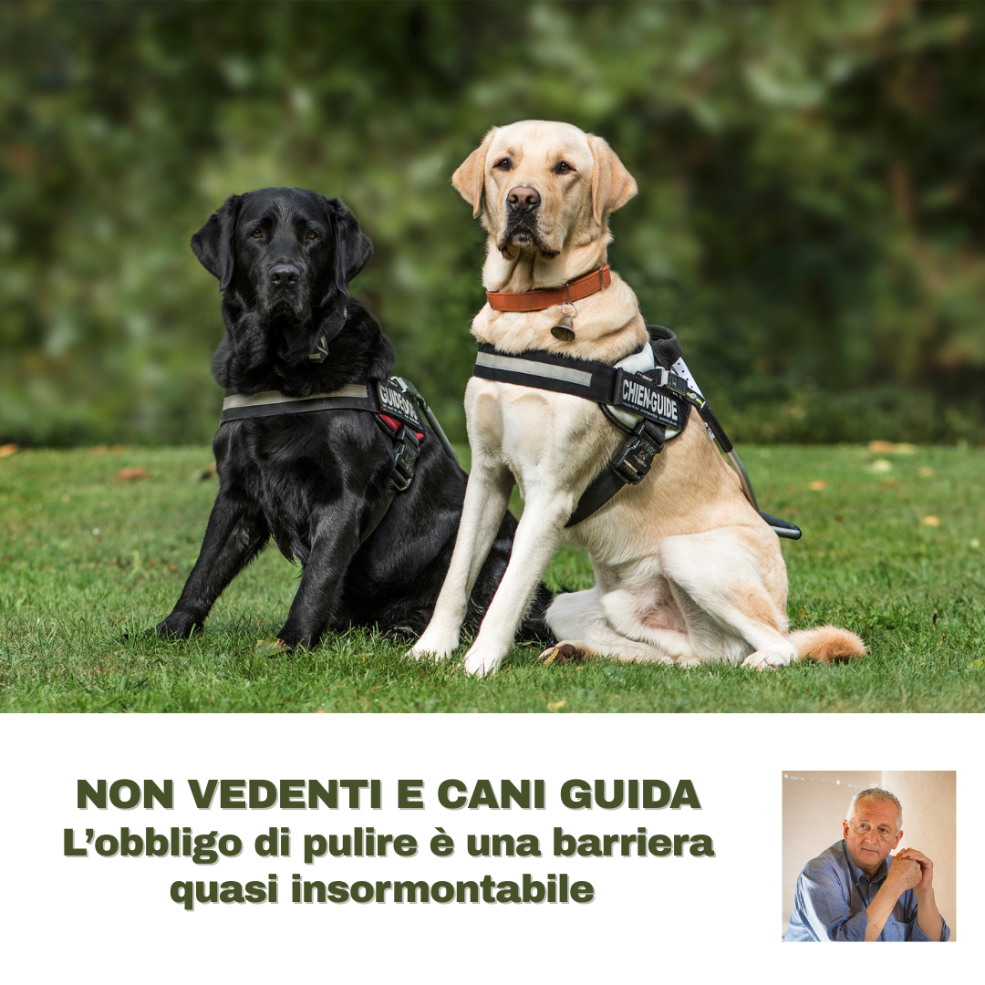 Al momento stai visualizzando NON VEDENTI E CANI GUIDA – L’obbligo di pulire è una barriera quasi insormontabile 