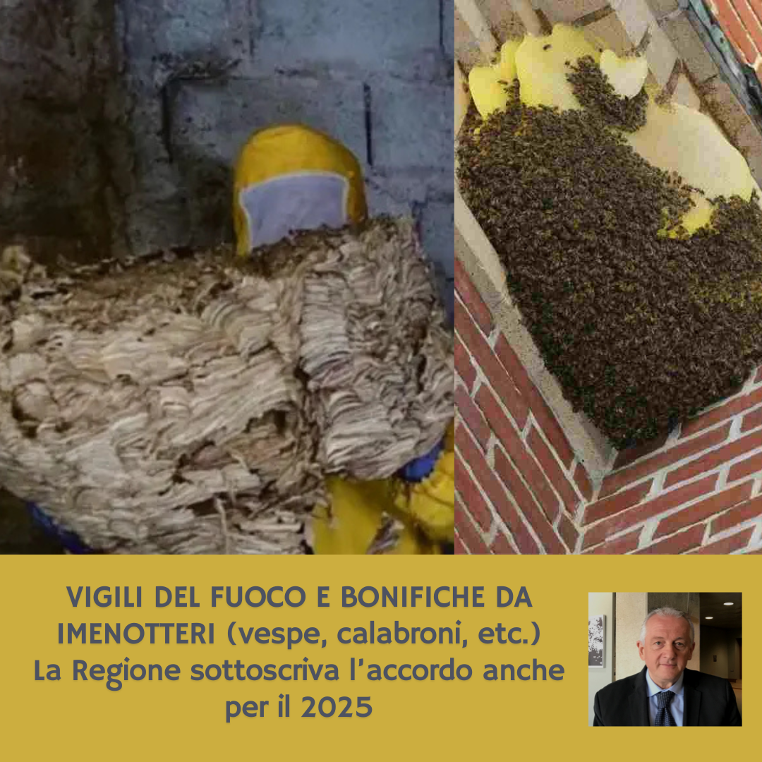 Al momento stai visualizzando VIGILI DEL FUOCO E BONIFICHE DA IMENOTTERI – La Regione sottoscriva l’accordo anche per il 2025