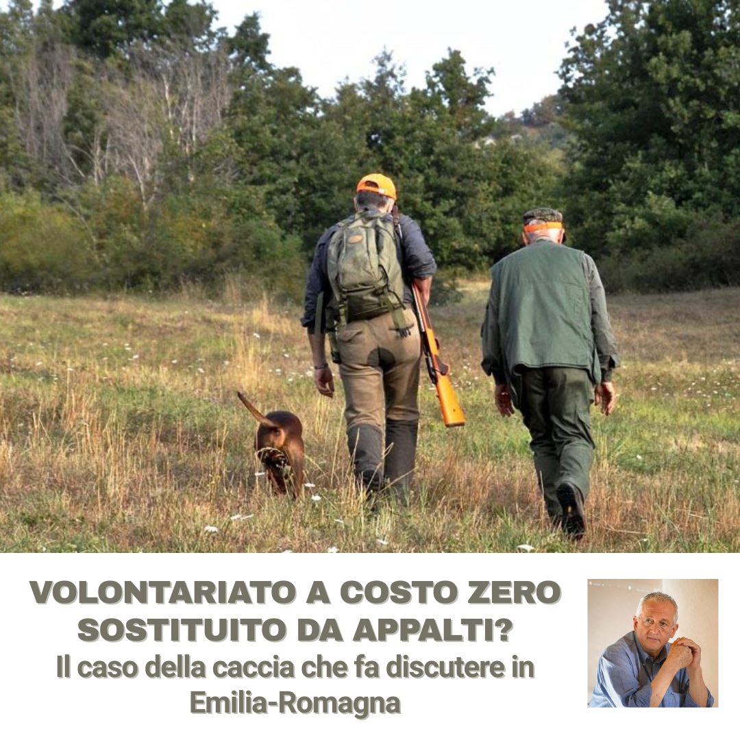 Scopri di più sull'articolo VOLONTARIATO A COSTO ZERO SOSTITUITO DA APPALTI?