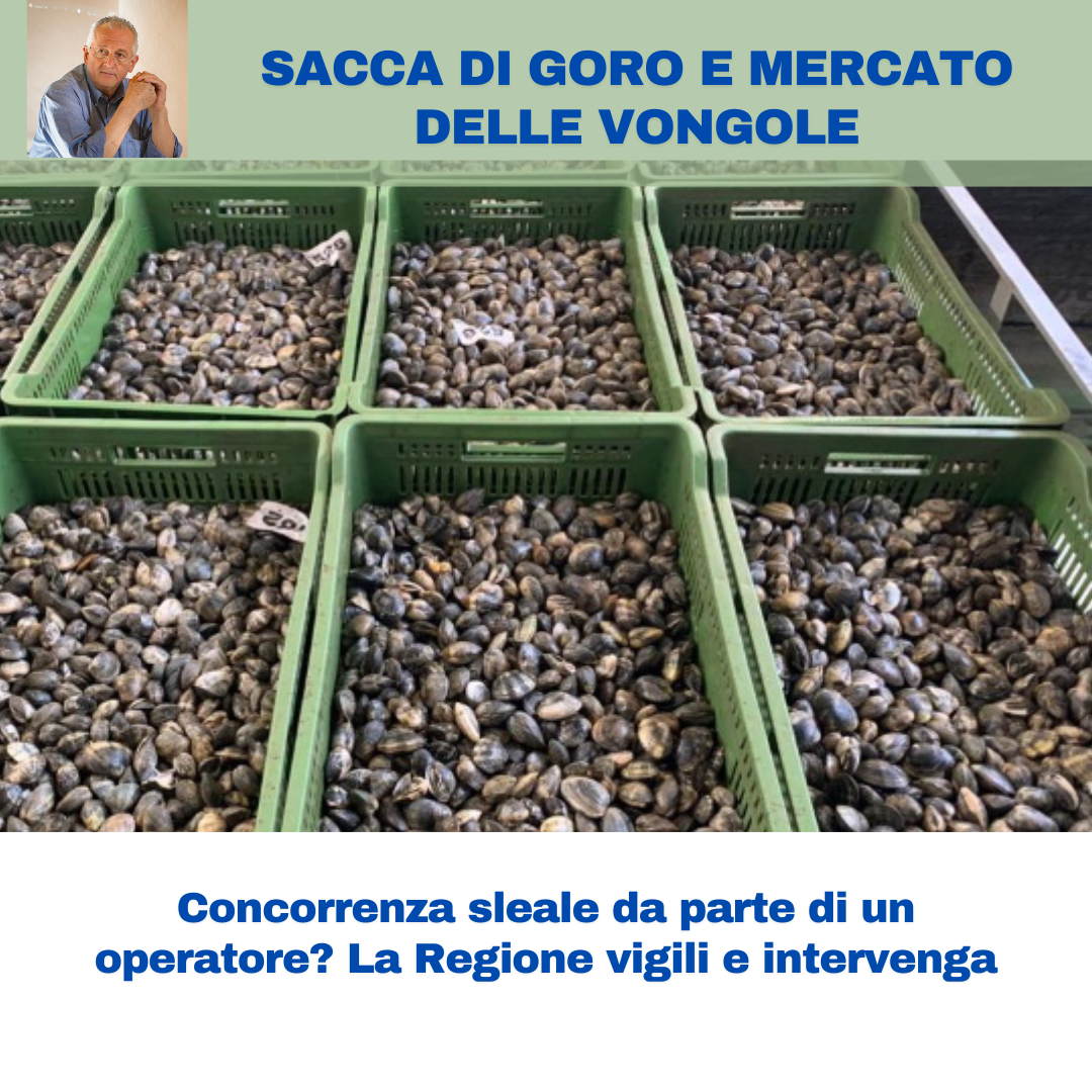Al momento stai visualizzando SACCA DI GORO E MERCATO DELLE VONGOLE – Concorrenza sleale da parte di un operatore? La Regione vigili e intervenga